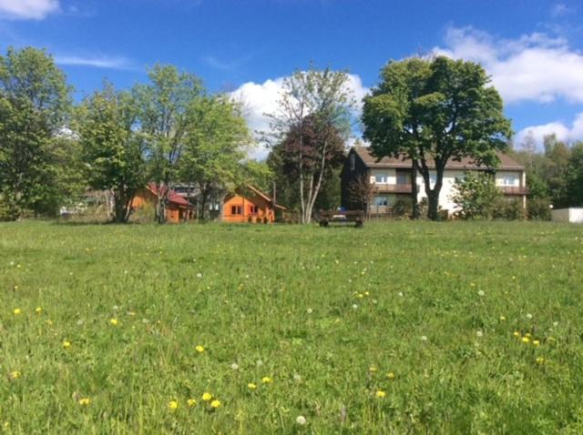 Blockhaeuser Fewo4 Harzblick